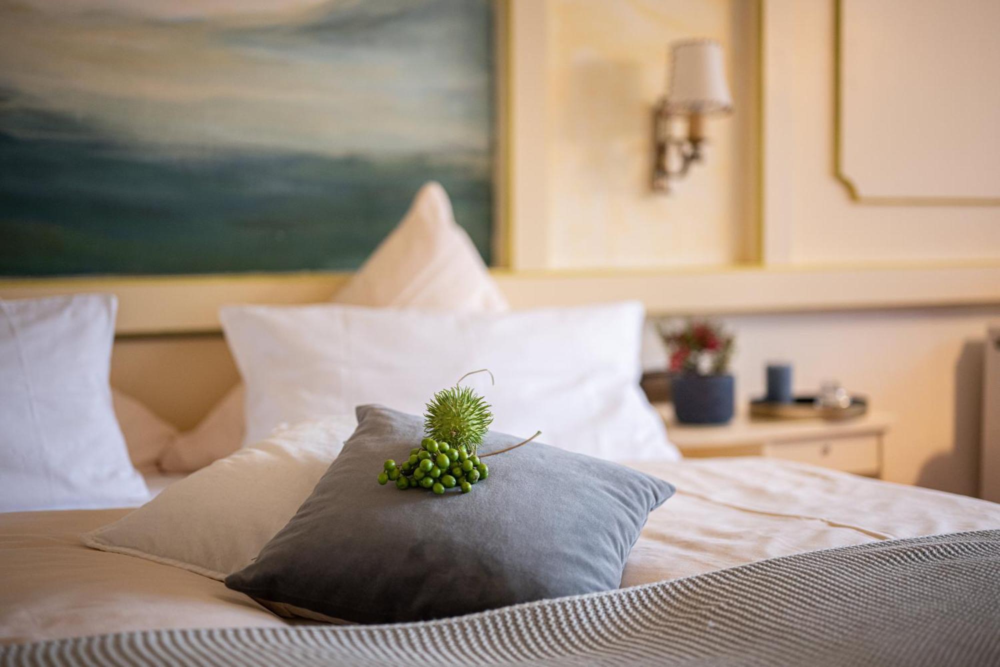 Hotel Birkenmoor Scheidegg Ngoại thất bức ảnh